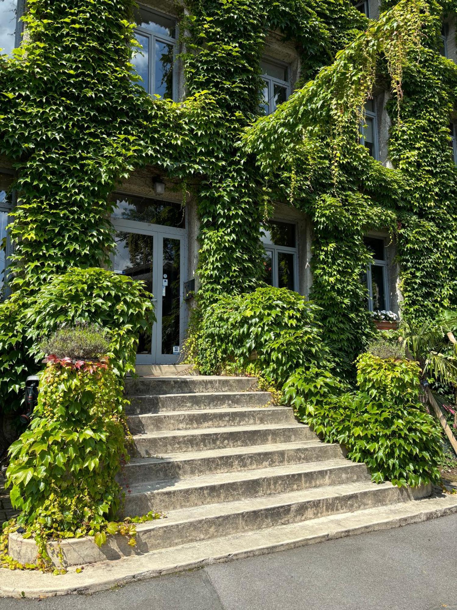 Logis Hotel-Restaurant - Le Moulin D'Artres Dış mekan fotoğraf